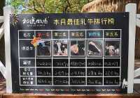 台東親子旅遊大推初鹿牧場chill一天