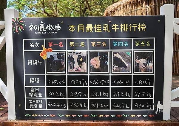 台東親子旅遊大推初鹿牧場chill一天