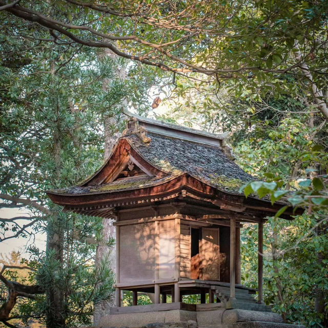 福岡大濠公園～春日盎然的綠洲