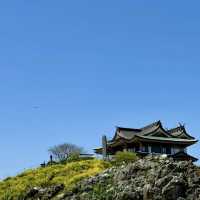 「龍正院」：高蹺藝術手法、獨特園景，春天好去處