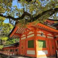 일본여행 후쿠오카 스미요시 신사住吉神社