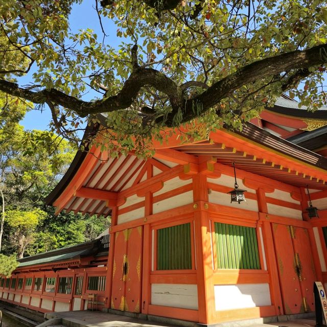 일본여행 후쿠오카 스미요시 신사住吉神社