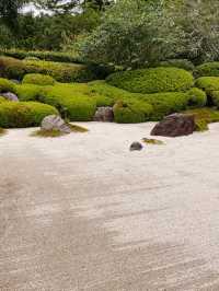 明月院の紫陽花