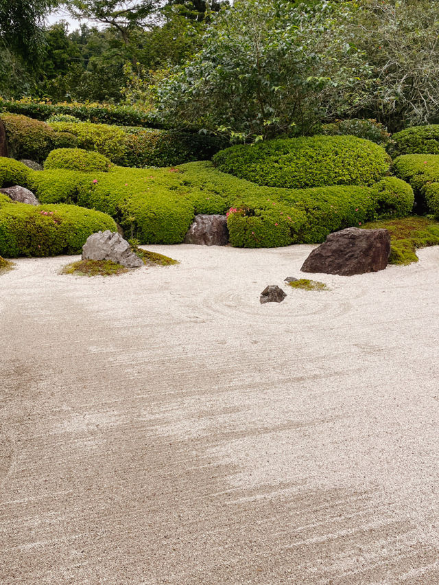明月院の紫陽花