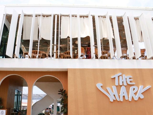 ชมบรรยากาศวิถีประมงที่ The shark