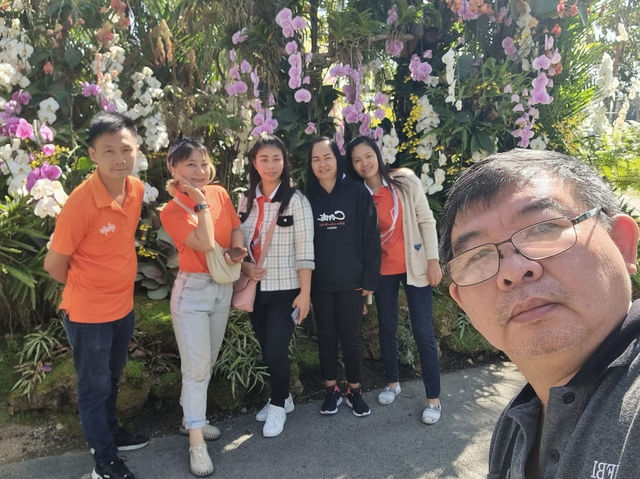 สวนเฉลิมพระเกียรติ 82 พรรษา