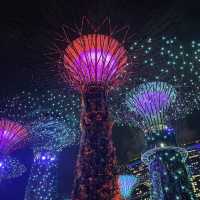Gardens by the Bay Supertree Grove