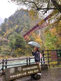 🚂 Kurobe Gorge ทางรถไฟสุดโรแมนติกในญี่ปุ่น