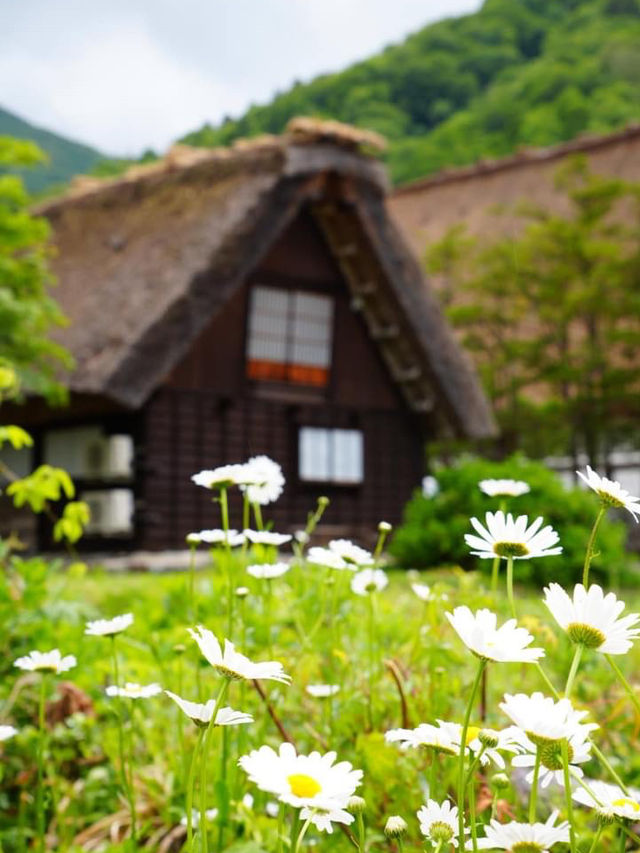 ShirakawaGO