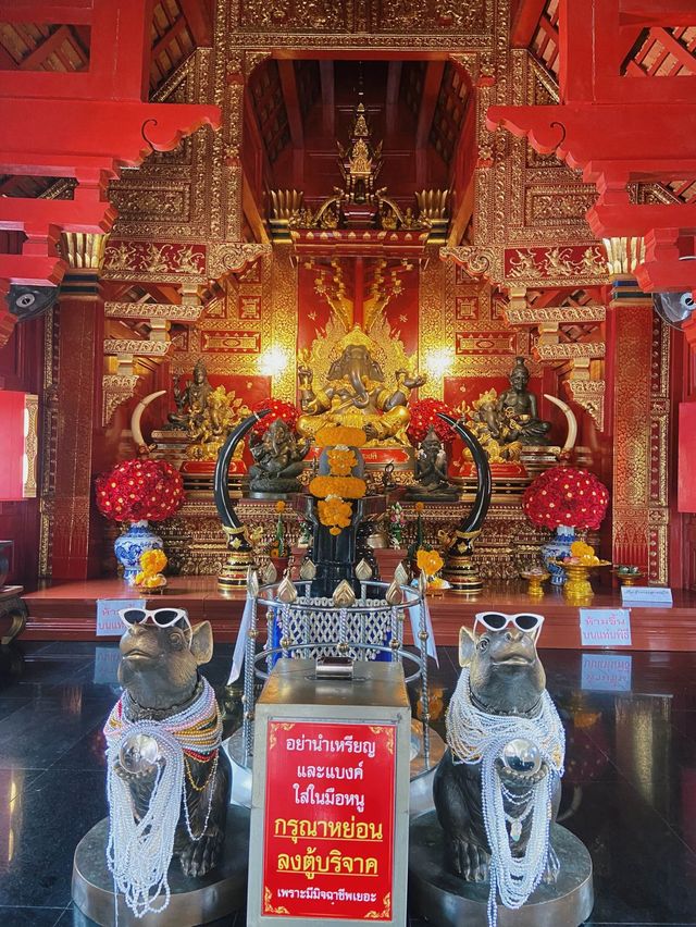 แวะมามู ณ เชียงใหม่2024