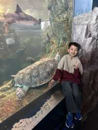 【 免費與海豚互動。水族館•海響館 】