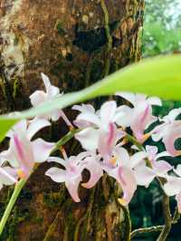 ย้อนเวลาไปเที่ยวพังงา🌴