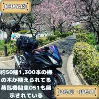 梅林公園