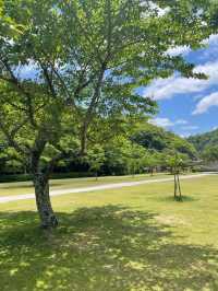 兵庫　丹波篠山のキャンプスポット🏕️