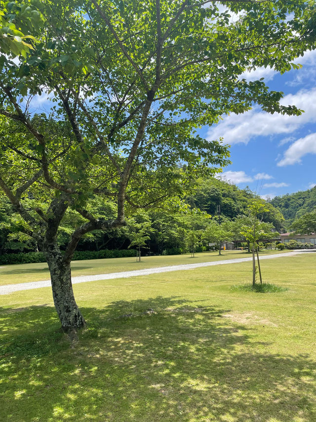 兵庫　丹波篠山のキャンプスポット🏕️