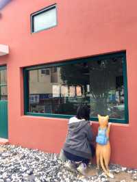 【釜山】甘川洞文化村：充滿藝術氣息的彩色鐵皮屋，動蕩不安的歷史
