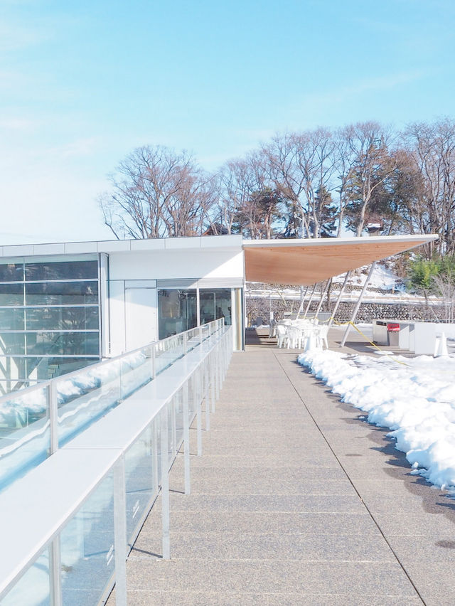 【長野】建物すべてがアートな美術館🎨