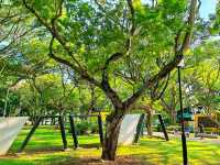 Bedok Reservoir Park