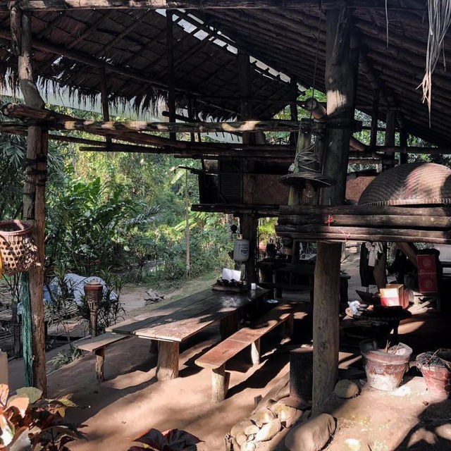 อยู่เถื่อน ณ สวนเกาะ - เชียงใหม่ 🏡