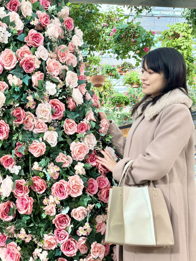 〜静岡県〜可愛すぎる🌸静岡おすすめスポット🗻