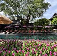 Chala Number 6 โรงแรมห้าดาวบรรยากาศสวนสวย