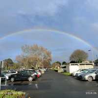 探索新西兰🇳🇿怀卡托大学校园活动