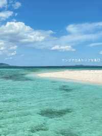 【沖縄離島】世界に誇れる美しすぎる沖縄の海
