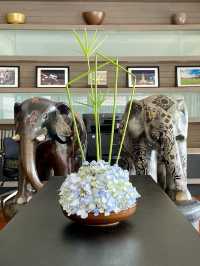 Suite ห้องเดียวใน resort 🍸 ทั้งวิวสระ+แม่น้ำ ฟินๆ