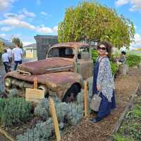 325 ACRES OF RURAL FARMLAND