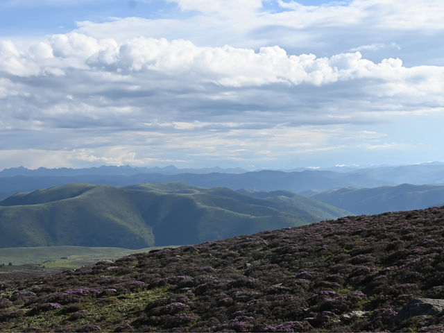 Exploring the Vast Grasslands of Kangding: A Breath of Fresh Air