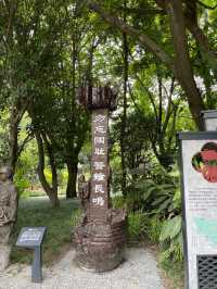 🌿🚣‍♀️  漫步成都人民公園，體驗當地人的生活🌸🎶