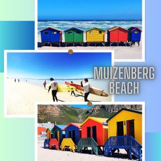 Sandy Toes and Sun-Kissed Nose: Muizenberg Beach Magic