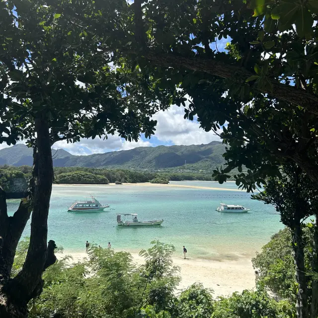 Discover the Charm of Kabira Bay in Ishigaki Island!