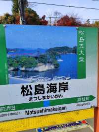 Matsushima: A Day Trip Paradise of Islands
