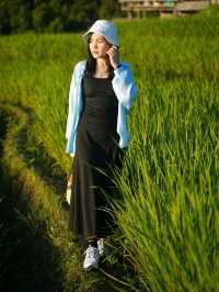 ป่าบงเปียง - นาขั้นบันไดวิว 360 องศา