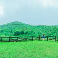 【台湾旅行！！】定番から穴場スポットまでご紹介！