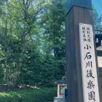 東京市中心綠洲