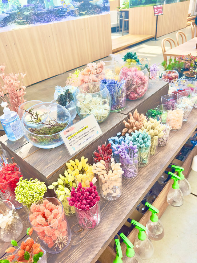 〜東京都〜梅雨でもお花見！室内で楽しめるハナビヨリ