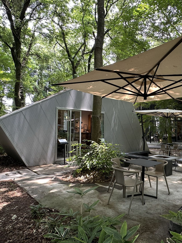 熊本＊森の中のオシャレな空間でオーガニックランチ