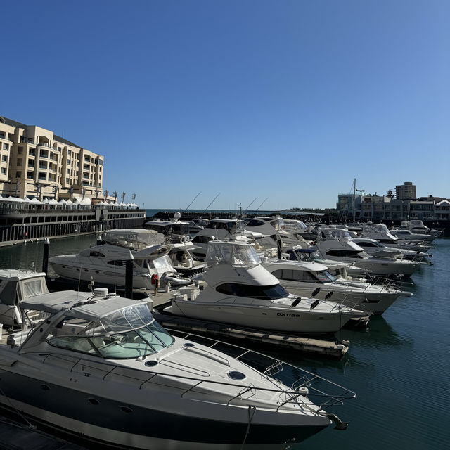 Walk from Glenelg to Grange Beach 🏝️