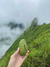 ฤดูฝนที่เปรโต๊ะลอซู จ.ตาก ⛰️🌧️🌿🥾
