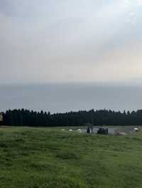 【宮崎】野生の馬が住まう岬
