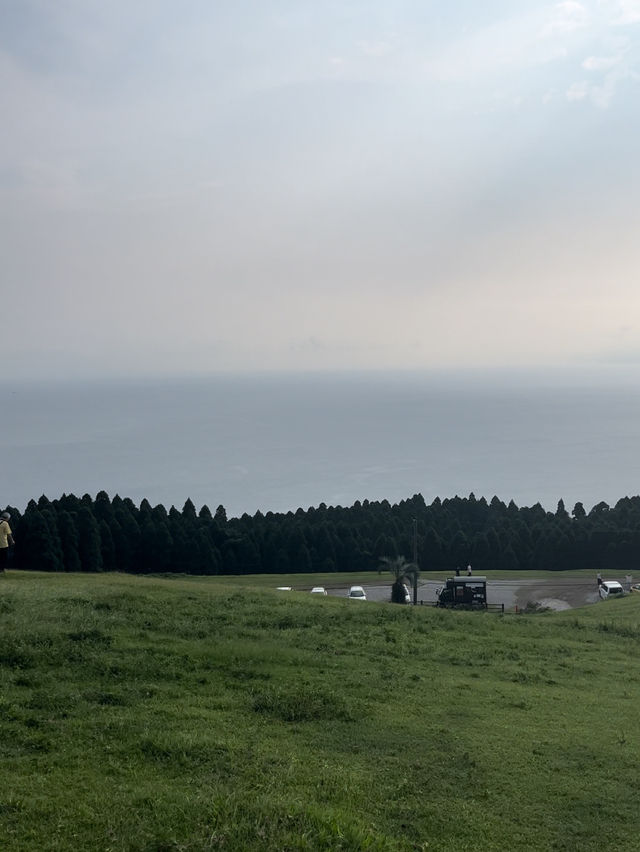 【宮崎】野生の馬が住まう岬