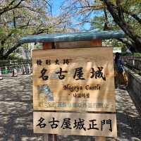 櫻花紛飛的名古屋城