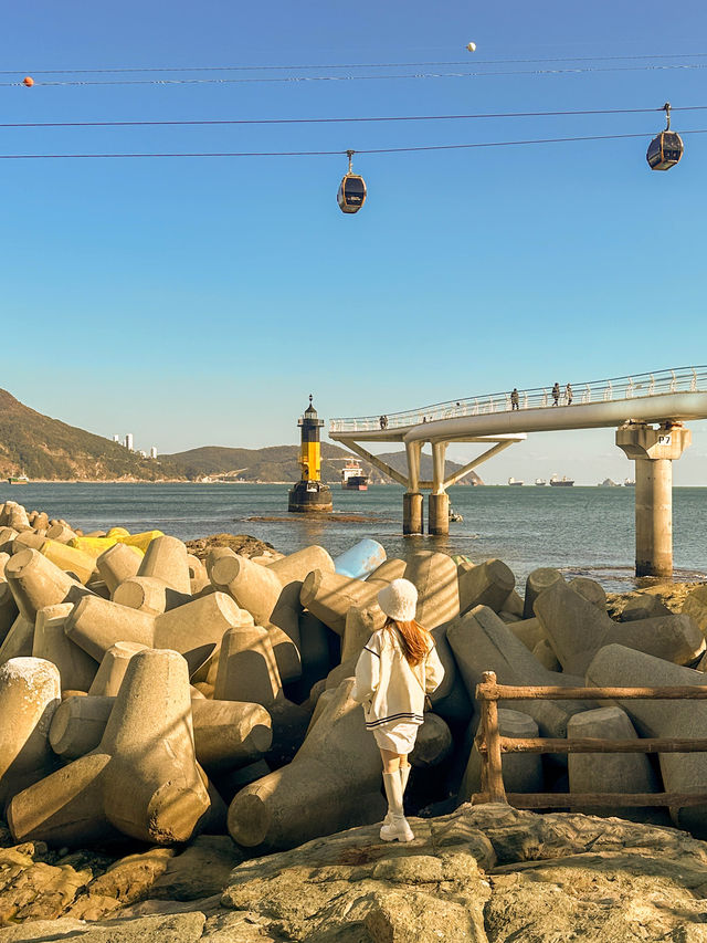 A Tranquil Escape in Busan 💙