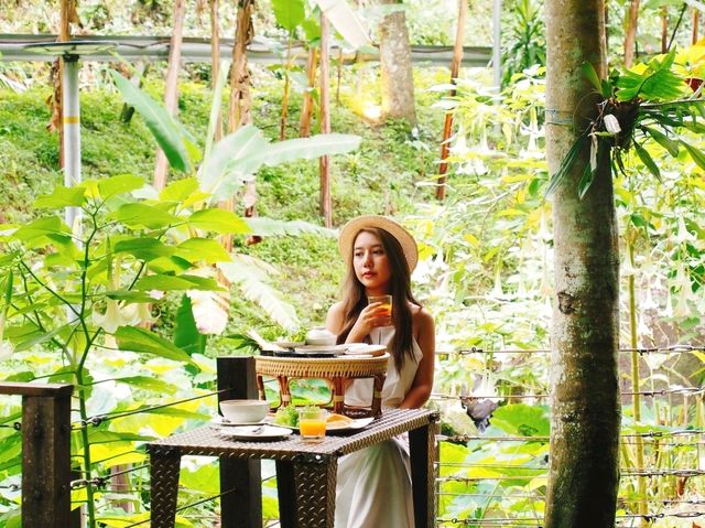 แช่อ่างท่ามกลางป่า นอนฟังเสียงน้ำตกเพลินๆ