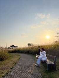  📍씨사이드파크 Seaside Park 