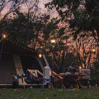 Rabbit Campsite - ลานกางเต็นท์กระต่ายกินเนื้อ