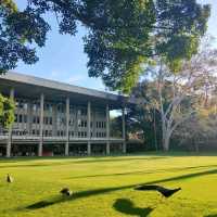 Exploring the Urban Oasis: A Trip to UWA Perth