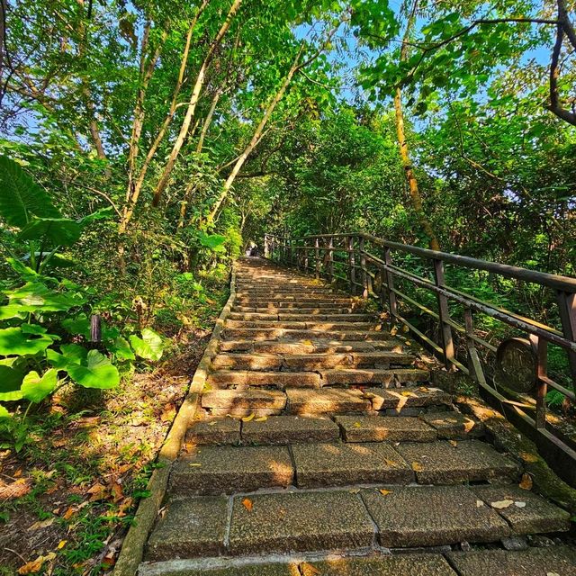 【臺北】市民喜愛的郊山步道之一，適合各年齡層的登山愛好者。